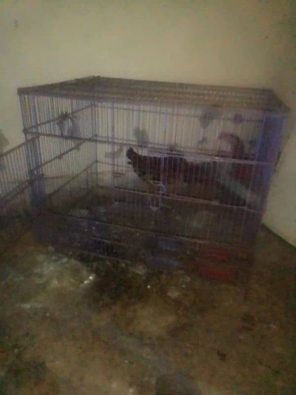 used cages and cargo cages for sale 11