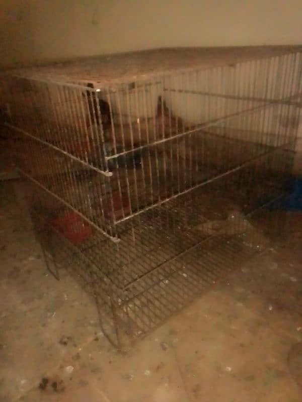 used cages and cargo cages for sale 12