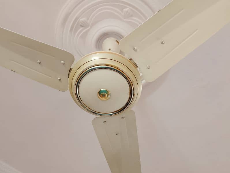 GFC ceiling fan 0