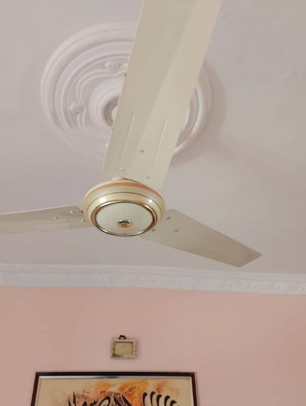 GFC ceiling fan 1