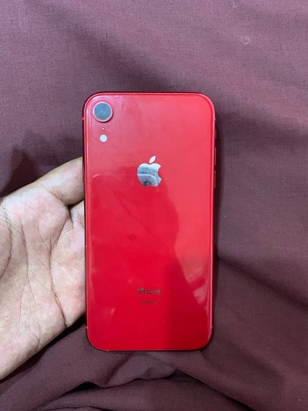 iPhone XR approved 1