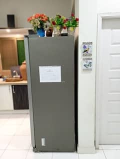 Moving out sale . Samsung Inverter