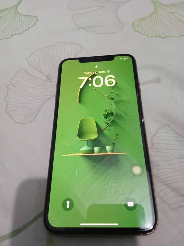 xs max 256gb Gold 4