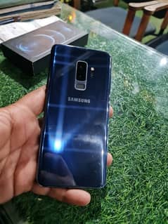 Samsung S9 plus 03137744404