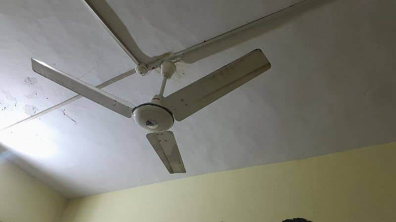 Ceiling Fan 1