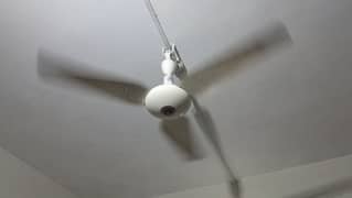 Ceiling fan