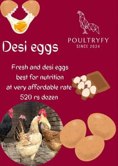 Desi Eggs