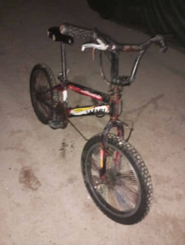 BMX Safari Cycle 6