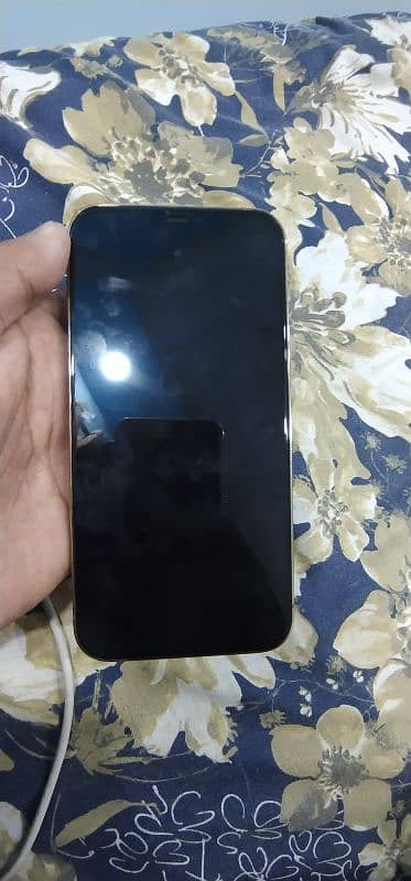 Iphone 12Pro Max 128 GB Pta Approved 1