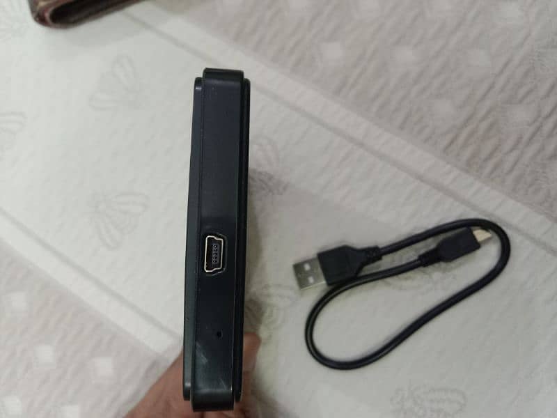 External 250 GB Laptop Hard Disk with Case 1