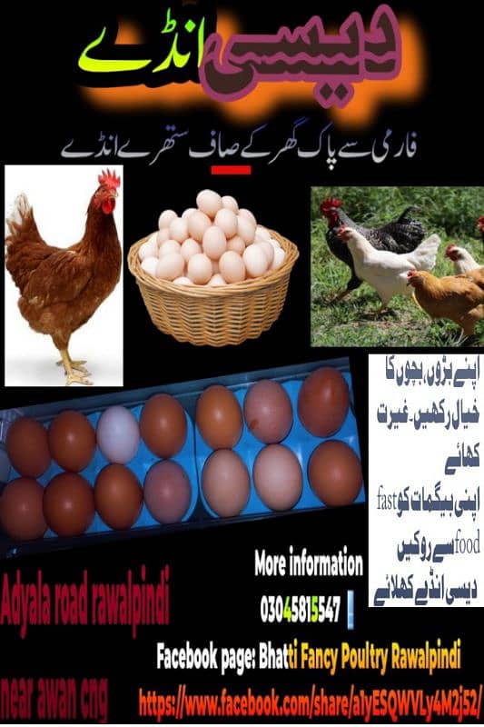 desi eggs 0