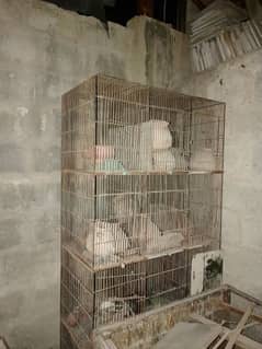 Birds Cages