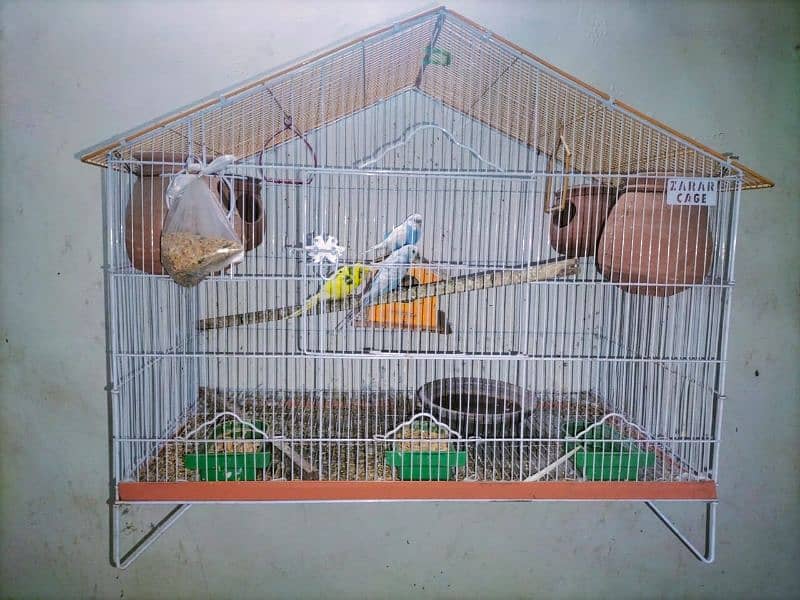 cage with 3 Parrots 1