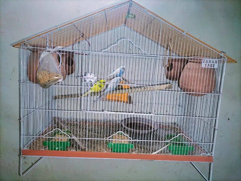 cage with 3 Parrots 2