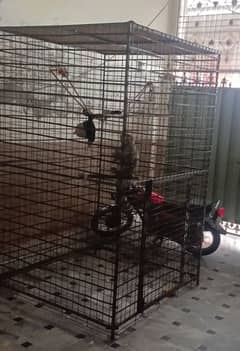 cage for sale size 4*4*8 feet location mandi bhahudeen