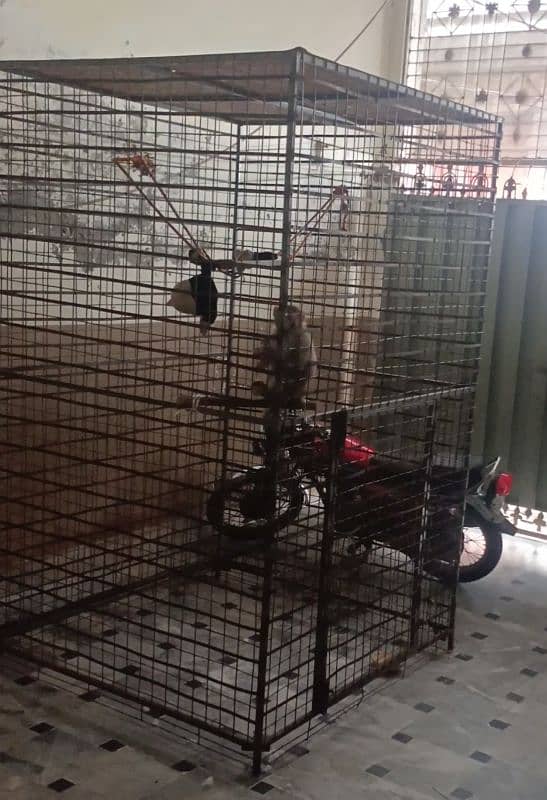 cage for sale size 4*4*8 feet location mandi bhahudeen 0