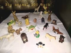 animals collection