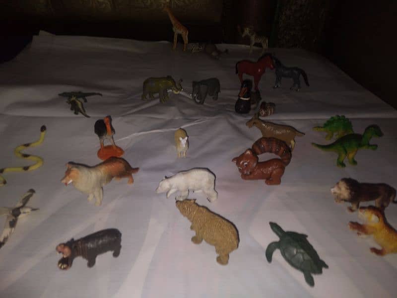 animals collection 5