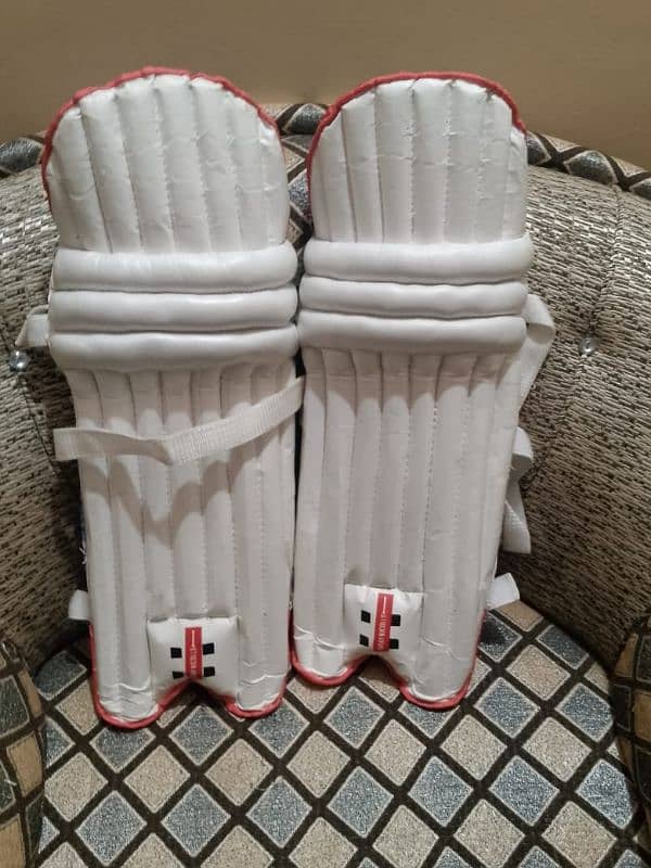 new cricket kit 6