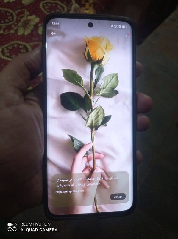 Oppo Reno 12 5G  12/512 17