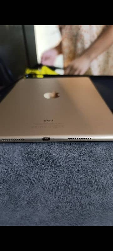 IPad Pro (White Gold Color) 7