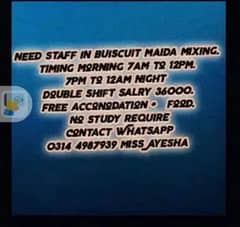 buiscuit packing staff require job lahore