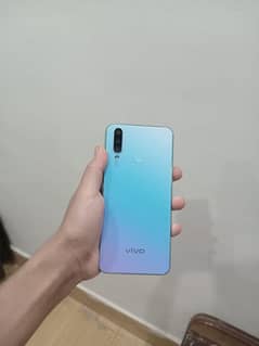 vivo