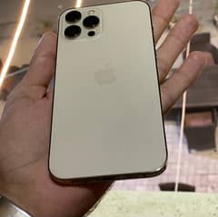 Iphone 12 Pro Max Pta Aproved