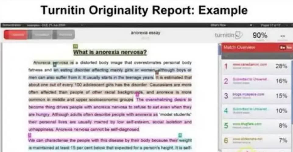 Turnitin Checking with AI detection in cheap price 2
