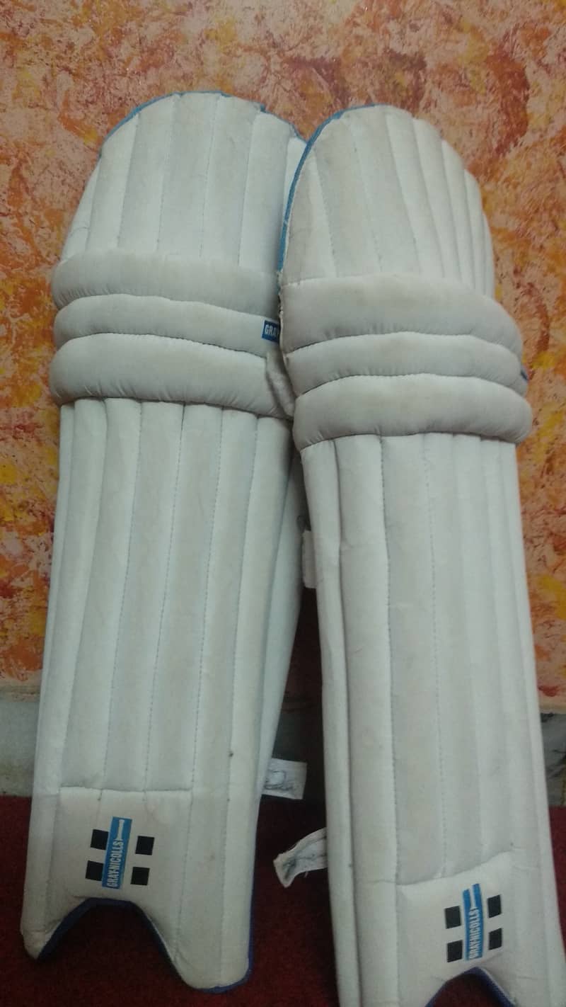 Cricket kit 1