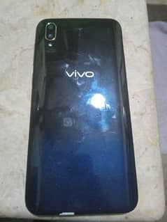 vivo