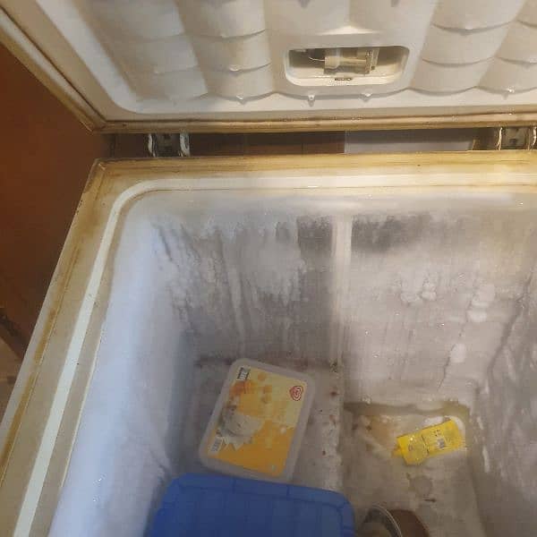 deep freezer and refrigerator 5