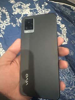 Vivo