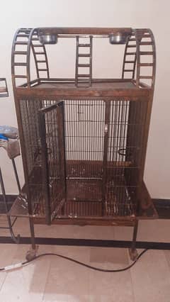 Parrot cage for macow and cokatoo