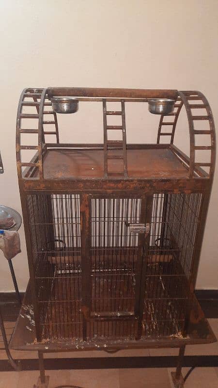 Parrot cage for macow and cokatoo 1