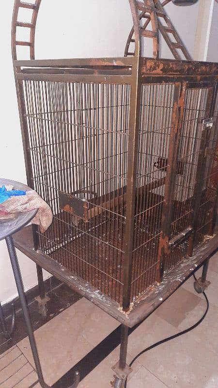 Parrot cage for macow and cokatoo 2