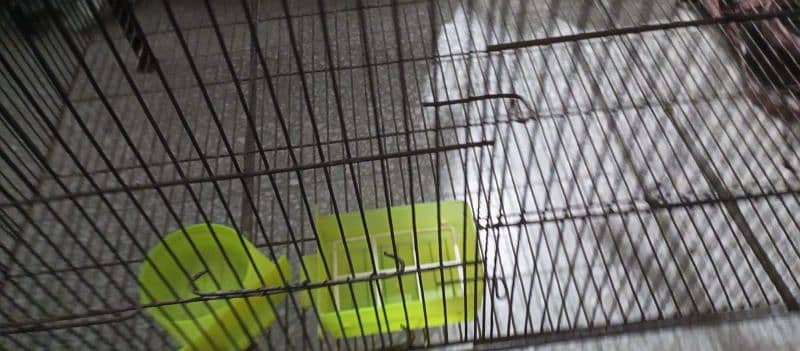 cage for birds or pet 2