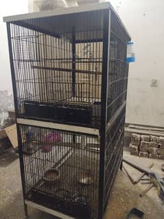 grey parrot cage