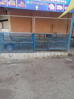 Heavey Chicken shop Cages And Saman