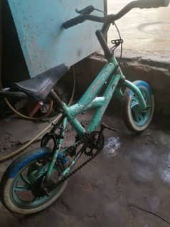 12 inch cycle for sale