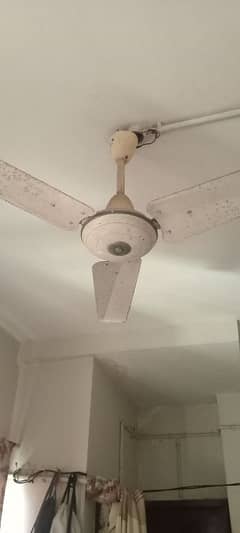 one season  used  good condition 3 pcs  deiling fan for sale