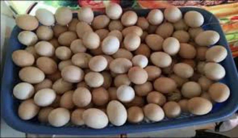 organic desi fertile eggs 455 ruppes A dozen 0