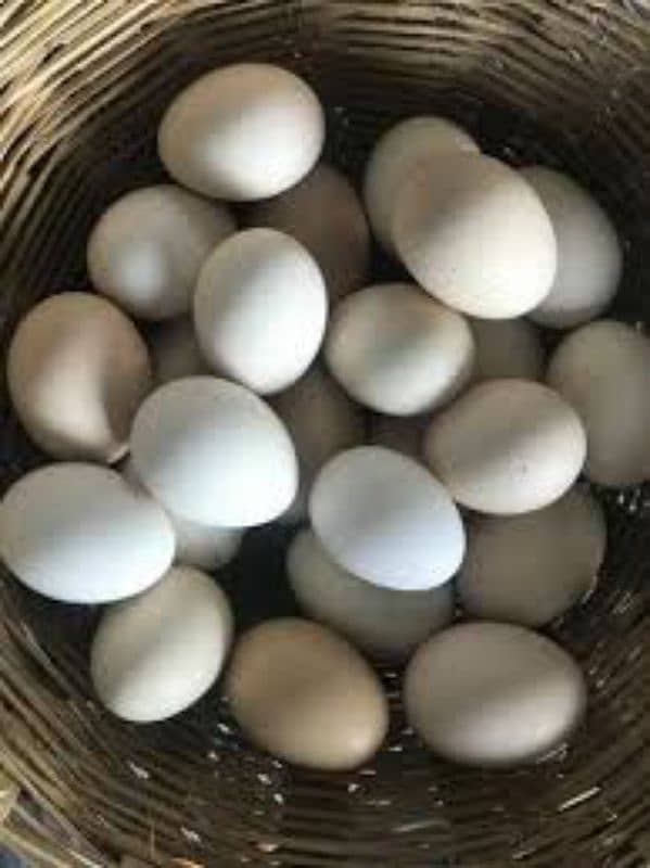 organic desi fertile eggs 455 ruppes A dozen 1