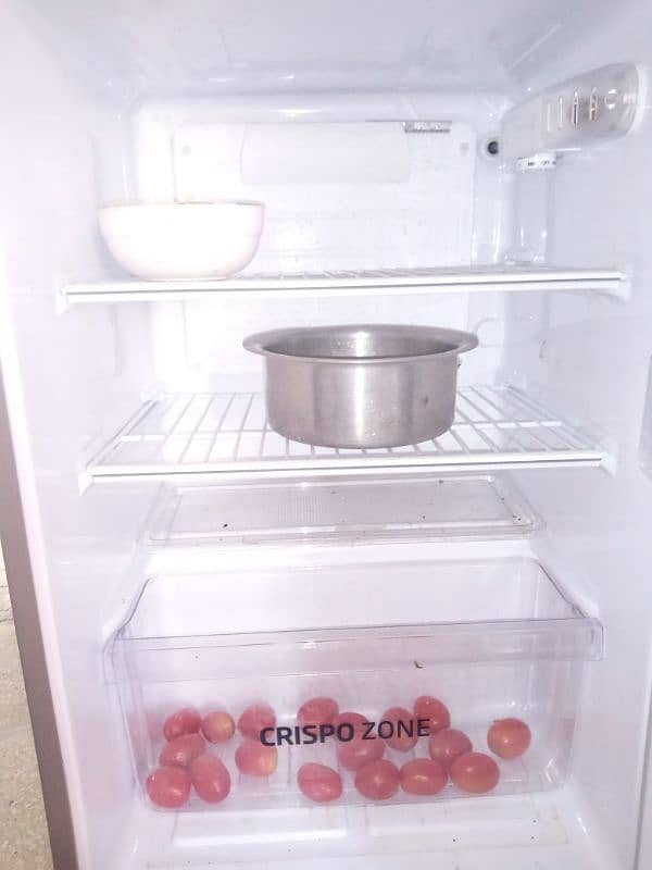 PEl fridge 1