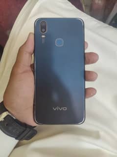 vivo