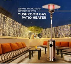 patio heater/ outdoor heater/ garden heater/ lawn heater/