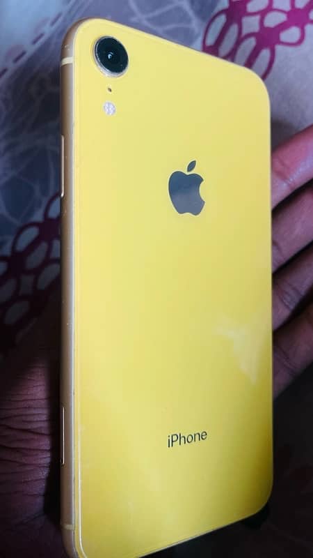 iphone XR 1