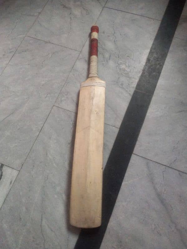 hard Ball bat 1