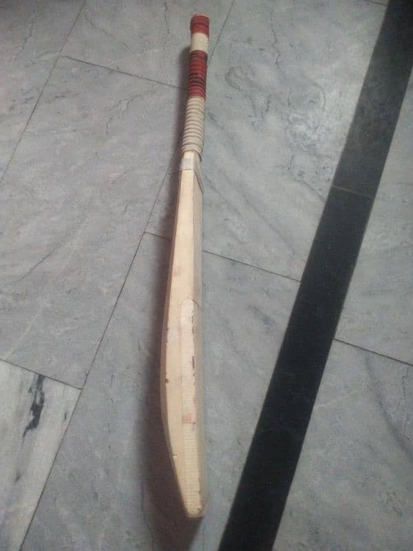 hard Ball bat 2