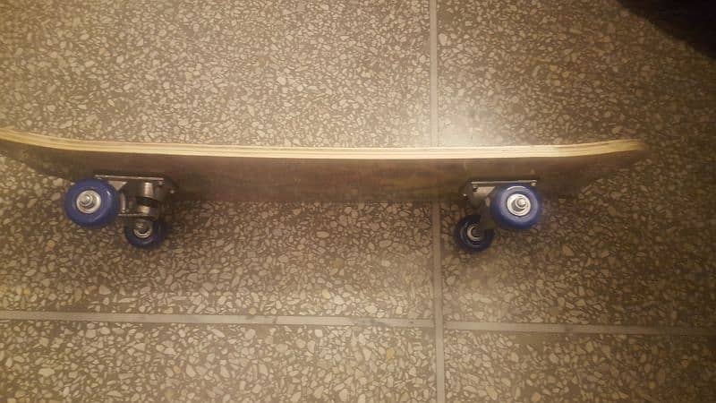 skateboard brand new 2